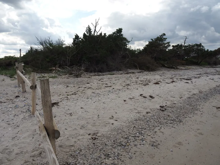 Halshuisene + Enebaerodde Beach (Denemarken)